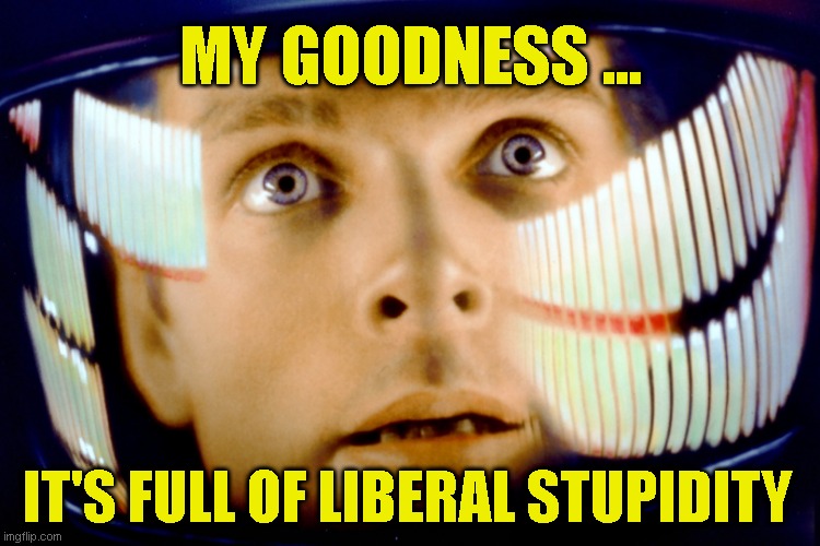My God It's Full of Stars | MY GOODNESS ... IT'S FULL OF LIBERAL STUPIDITY | image tagged in my god it's full of stars | made w/ Imgflip meme maker