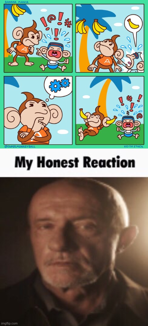 Super Monkey Ball what are you doing. | image tagged in my honest reaction | made w/ Imgflip meme maker