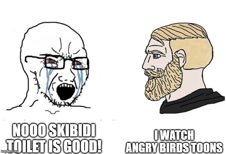 5YOs vs Me | I WATCH ANGRY BIRDS TOONS; NOOO SKIBIDI TOILET IS GOOD! | image tagged in soyboy vs yes chad | made w/ Imgflip meme maker