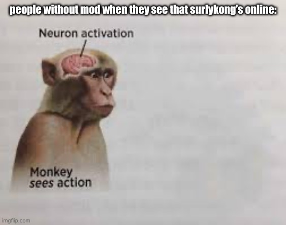 Neuron activation | people without mod when they see that surlykong’s online: | image tagged in neuron activation | made w/ Imgflip meme maker