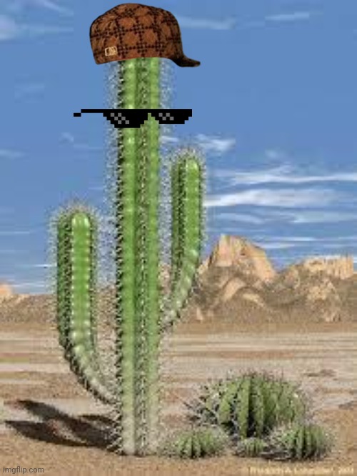 Dripctus | image tagged in cactus | made w/ Imgflip meme maker