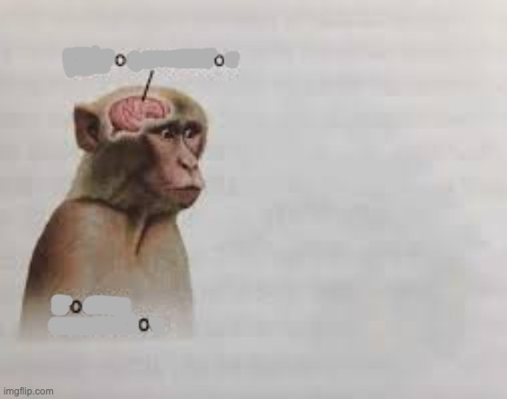 im getting silly again chat | image tagged in neuron activation | made w/ Imgflip meme maker