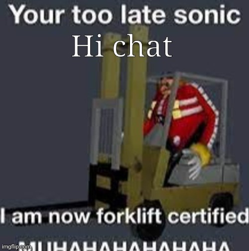 Your too late sonic | Hi chat | image tagged in your too late sonic | made w/ Imgflip meme maker