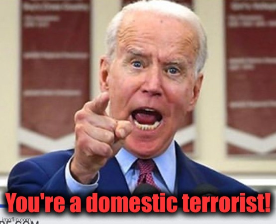 Joe Biden no malarkey | You're a domestic terrorist! | image tagged in joe biden no malarkey | made w/ Imgflip meme maker
