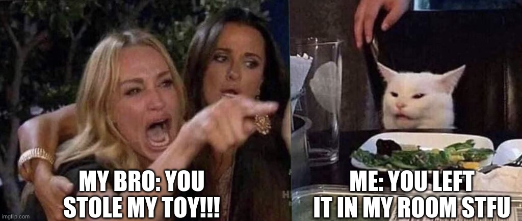 woman yelling at cat | MY BRO: YOU STOLE MY TOY!!! ME: YOU LEFT IT IN MY ROOM STFU | image tagged in woman yelling at cat,siblings | made w/ Imgflip meme maker