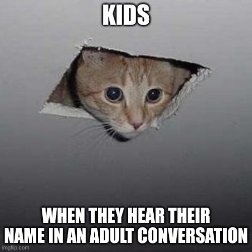 Ceiling Cat Meme | KIDS; WHEN THEY HEAR THEIR NAME IN AN ADULT CONVERSATION | image tagged in memes,ceiling cat,cats | made w/ Imgflip meme maker