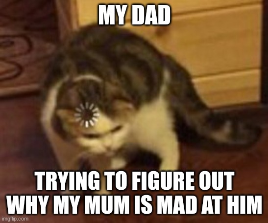 Loading cat | MY DAD; TRYING TO FIGURE OUT WHY MY MUM IS MAD AT HIM | image tagged in loading cat,parents | made w/ Imgflip meme maker