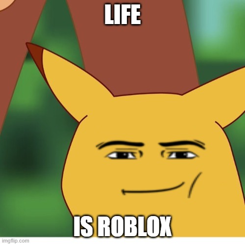 Surprised Pikachu Blank Face | LIFE; IS ROBLOX | image tagged in surprised pikachu blank face | made w/ Imgflip meme maker