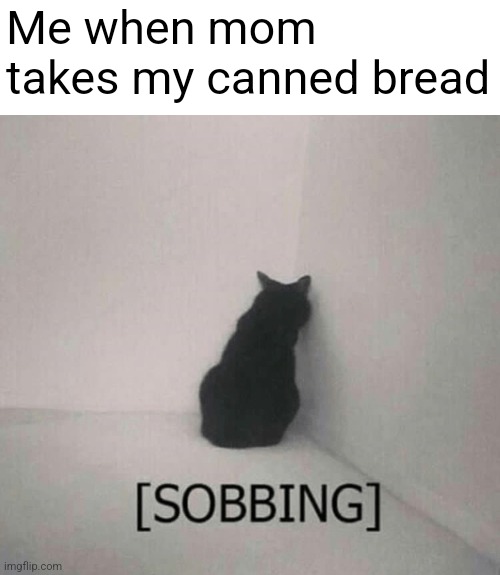 Canned bread | Me when mom takes my canned bread | image tagged in sobbing cat | made w/ Imgflip meme maker