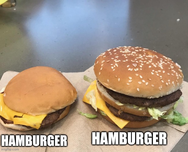 Hamburger | HAMBURGER; HAMBURGER | image tagged in burger comparison | made w/ Imgflip meme maker