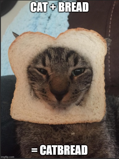 catbread | CAT + BREAD; = CATBREAD | image tagged in catbread | made w/ Imgflip meme maker