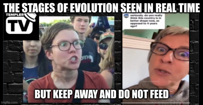 THE STAGES OF EVOLUTION SEEN IN REAL TIME; BUT KEEP AWAY AND DO NOT FEED | image tagged in memes | made w/ Imgflip meme maker