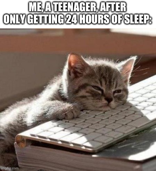 zzzzzzz | ME, A TEENAGER, AFTER ONLY GETTING 24 HOURS OF SLEEP: | image tagged in tired cat,tired,funny,relatable | made w/ Imgflip meme maker