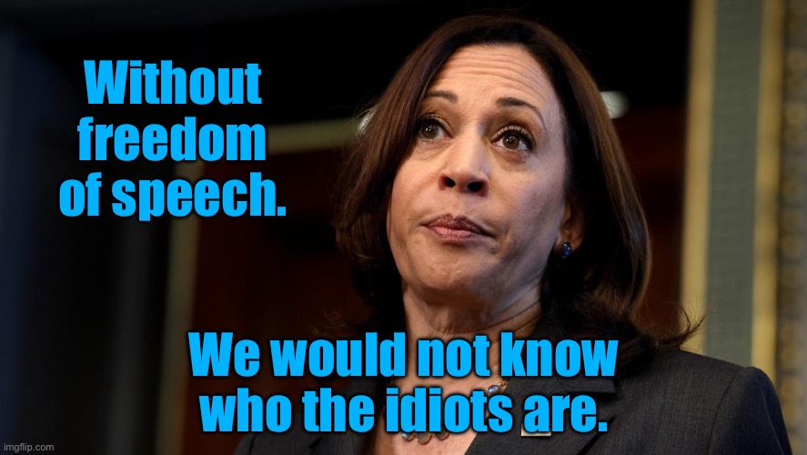 Freedom of speech | Without freedom of speech. We would not know who the idiots are. | image tagged in kamala harris,freedom of speech,lets us know,who are idiots,politics,politicians | made w/ Imgflip meme maker