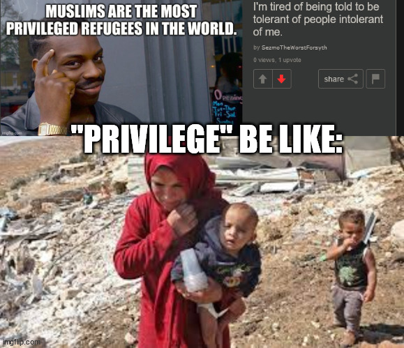 dear SezmoTheWorstForsyth, go back to the politics stream. | "PRIVILEGE" BE LIKE: | made w/ Imgflip meme maker