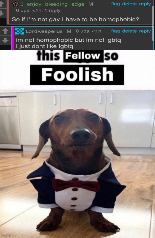 This fellow is so foolish | image tagged in this fellow is so foolish | made w/ Imgflip meme maker