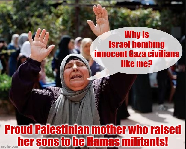 Israeli President Isaac Herzog said all Gazans were "responsible" for Hamas's surprise attack on Israel | Why is
Israel bombing
innocent Gaza civilians
like me? Proud Palestinian mother who raised
her sons to be Hamas militants! | image tagged in gaza,palestinians,hamas,terrorists | made w/ Imgflip meme maker