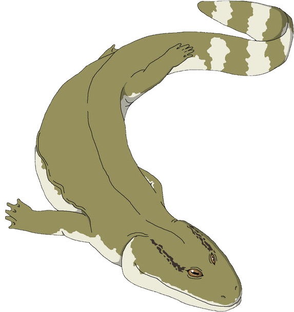 Acanthostega (Male) Blank Meme Template