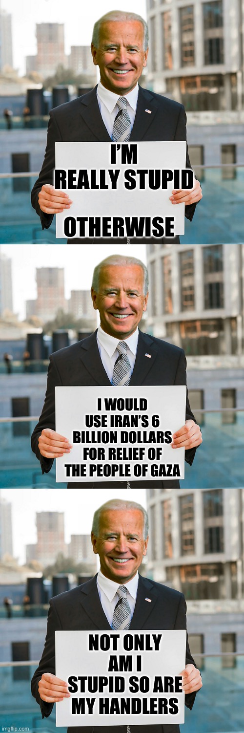 Yep | I’M REALLY STUPID; OTHERWISE; I WOULD USE IRAN’S 6 BILLION DOLLARS FOR RELIEF OF THE PEOPLE OF GAZA; NOT ONLY AM I STUPID SO ARE MY HANDLERS | image tagged in joe biden blank sign | made w/ Imgflip meme maker