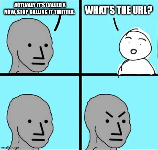 NPC Meme | ACTUALLY IT'S CALLED X NOW, STOP CALLING IT TWITTER. WHAT'S THE URL? | image tagged in npc meme | made w/ Imgflip meme maker