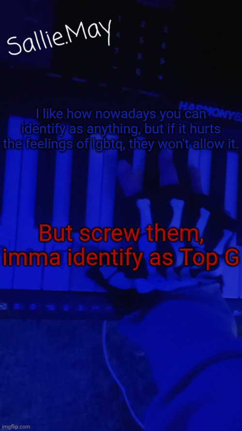 /j but still funny | I like how nowadays you can identify as anything, but if it hurts the feelings of lgbtq, they won't allow it. But screw them, imma identify as Top G | image tagged in sallie's temp by hannibal | made w/ Imgflip meme maker