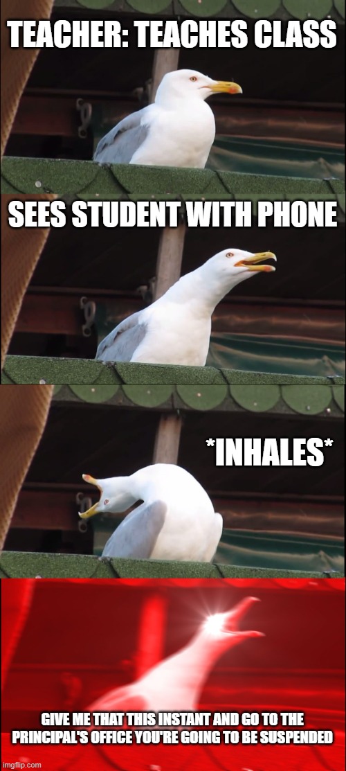 2 days in and discord is carrying me | TEACHER: TEACHES CLASS; SEES STUDENT WITH PHONE; *INHALES*; GIVE ME THAT THIS INSTANT AND GO TO THE PRINCIPAL'S OFFICE YOU'RE GOING TO BE SUSPENDED | image tagged in memes,inhaling seagull | made w/ Imgflip meme maker