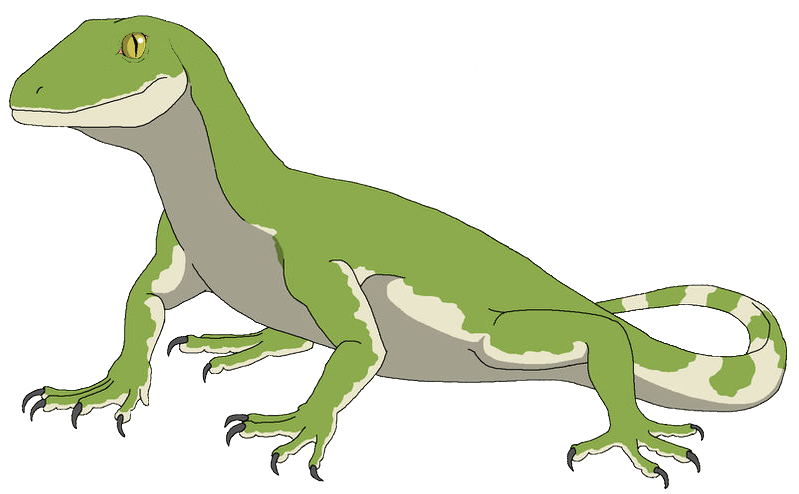 Petrolacosaurus (Female) Blank Meme Template
