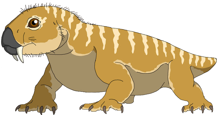 High Quality Diictodon (Male) Blank Meme Template