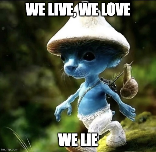 Smurf cat | WE LIVE, WE LOVE; WE LIE | image tagged in blue smurf cat | made w/ Imgflip meme maker