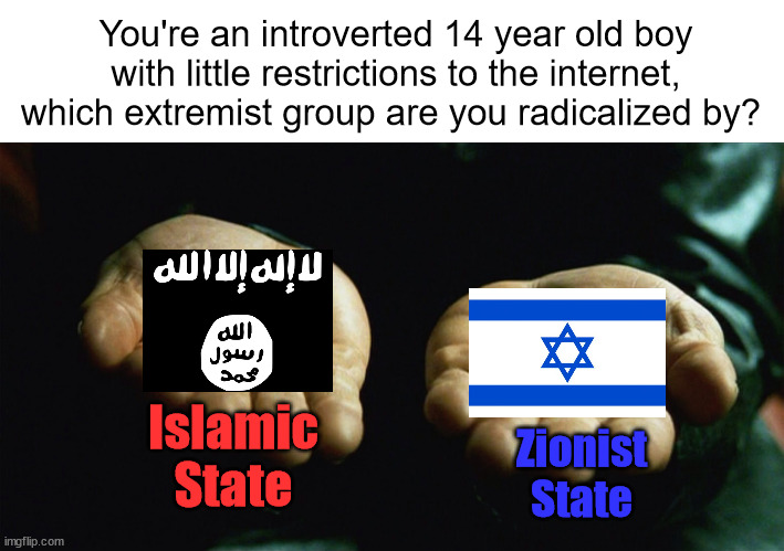 Pick your Poision | You're an introverted 14 year old boy with little restrictions to the internet, which extremist group are you radicalized by? Islamic State; Zionist State | image tagged in red pill blue pill | made w/ Imgflip meme maker