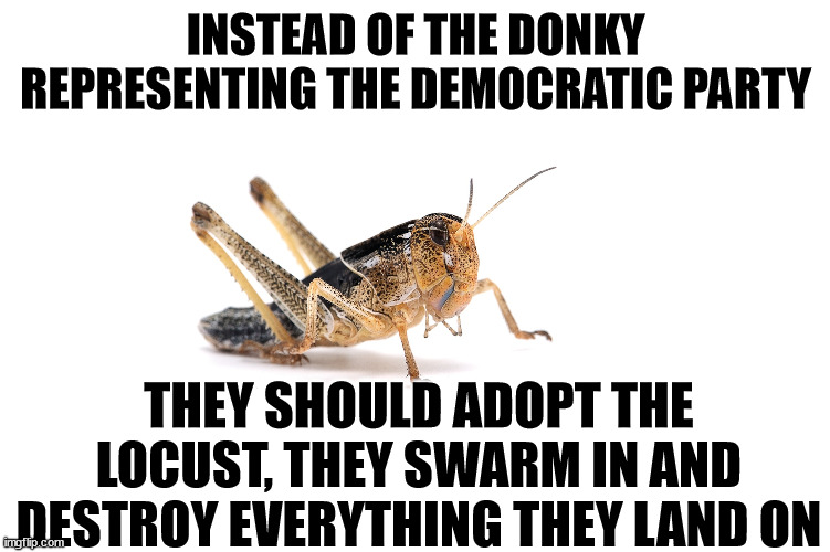 DNC Moniker | INSTEAD OF THE DONKY REPRESENTING THE DEMOCRATIC PARTY; THEY SHOULD ADOPT THE LOCUST, THEY SWARM IN AND DESTROY EVERYTHING THEY LAND ON | image tagged in dnc,locust,democratic party | made w/ Imgflip meme maker