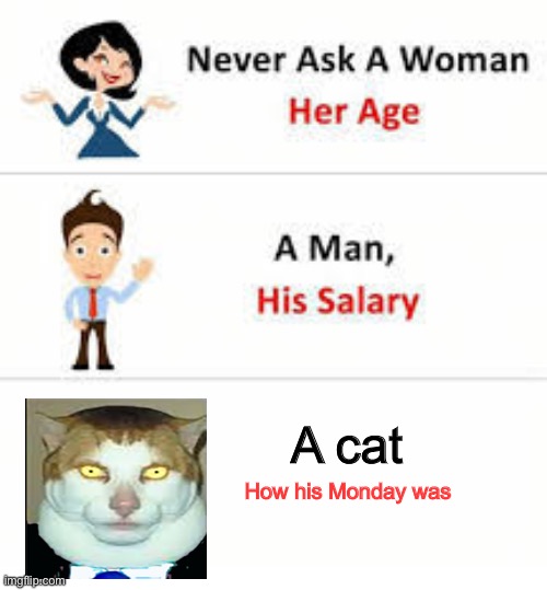 SusY cat | A cat; How his Monday was | image tagged in never ask a woman her age | made w/ Imgflip meme maker