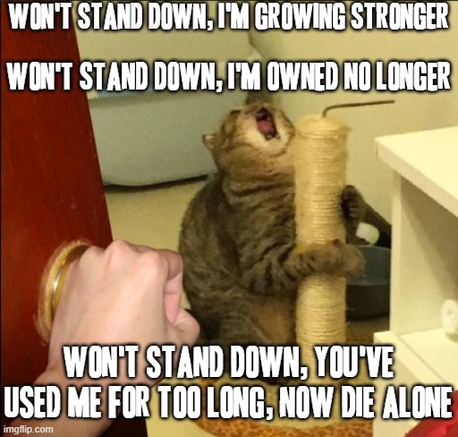 Had to add a muse music meme btw haha | WON'T STAND DOWN, I'M GROWING STRONGER; WON'T STAND DOWN, I'M OWNED NO LONGER; WON'T STAND DOWN, YOU'VE USED ME FOR TOO LONG, NOW DIE ALONE | image tagged in cat crazy,memes,music meme,muse,rock music,relatable | made w/ Imgflip meme maker