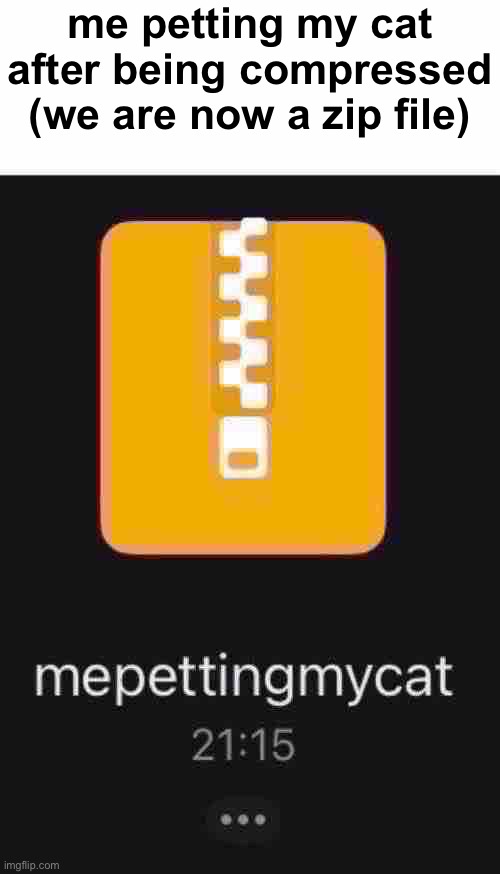 i love this meme template | me petting my cat after being compressed (we are now a zip file) | image tagged in cat,meme | made w/ Imgflip meme maker