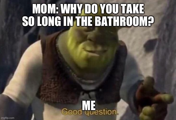 Shrek good question | MOM: WHY DO YOU TAKE SO LONG IN THE BATHROOM? ME | image tagged in shrek good question | made w/ Imgflip meme maker