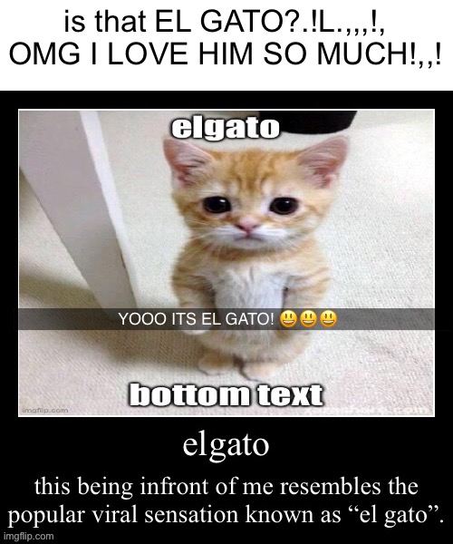 elgato | is that EL GATO?.!L.,,,!, OMG I LOVE HIM SO MUCH!,,! YOOO ITS EL GATO! 😃😃😃 | image tagged in meme | made w/ Imgflip meme maker