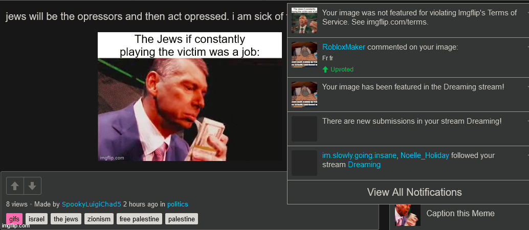 what terms? politics users say generalizing statements about palesteinans but i can't say it about jews? | made w/ Imgflip meme maker