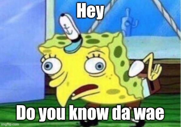 Mocking Spongebob Meme | Hey; Do you know da wae | image tagged in memes,mocking spongebob | made w/ Imgflip meme maker