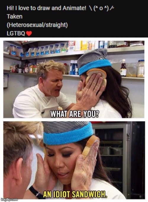 im confused how do you be straight and lgbtq wha | image tagged in idiot sandwitch | made w/ Imgflip meme maker