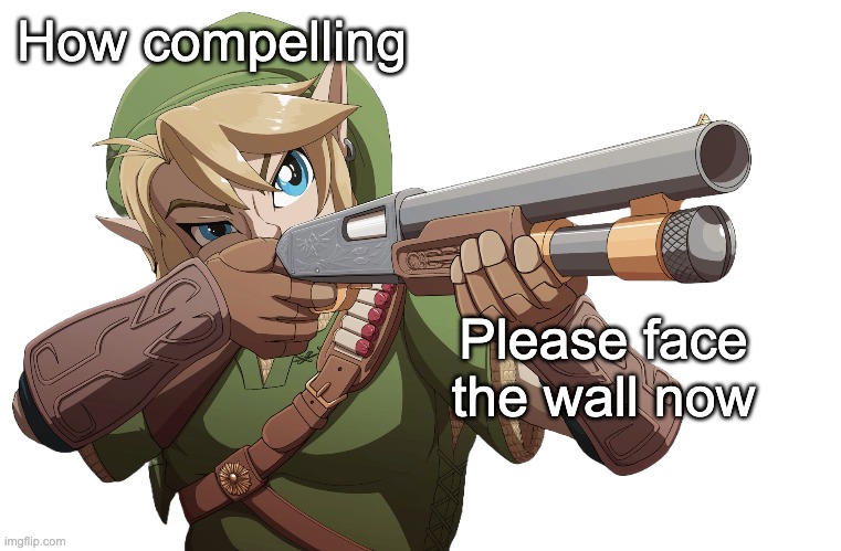 When Link has had enough | How compelling; Please face the wall now | image tagged in link,guns,shotgun,video games | made w/ Imgflip meme maker