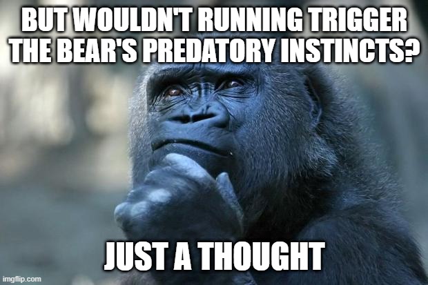 Deep Thoughts | BUT WOULDN'T RUNNING TRIGGER THE BEAR'S PREDATORY INSTINCTS? JUST A THOUGHT | image tagged in deep thoughts | made w/ Imgflip meme maker