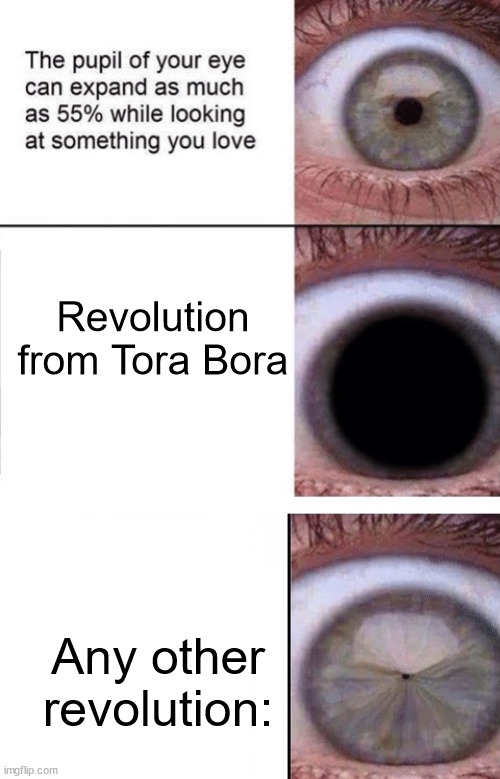 I LOVE REVOLUTION FORM TORA BORA NASHEED | Revolution from Tora Bora; Any other revolution: | image tagged in pupil shrinking and growing | made w/ Imgflip meme maker