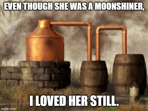 meme by Brad I loved her still | EVEN THOUGH SHE WAS A MOONSHINER, I LOVED HER STILL. | image tagged in love | made w/ Imgflip meme maker