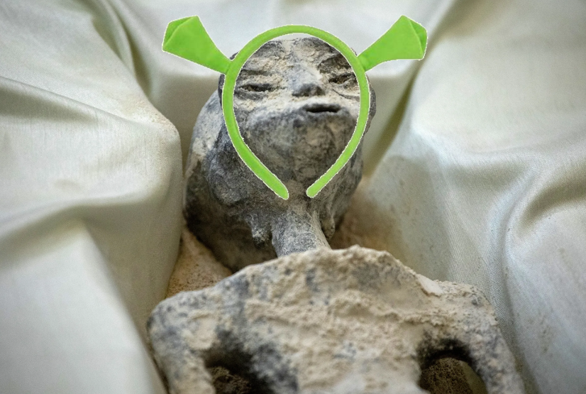 Shrek Mexican Alien Blank Meme Template