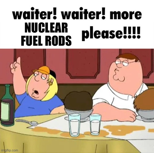 NUCLEAR FUEL RODS | made w/ Imgflip meme maker