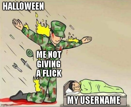 No offense. To each it's own. I don't care.Ok bye. | HALLOWEEN; ME NOT GIVING A FLICK; MY USERNAME | image tagged in soldier protecting sleeping child | made w/ Imgflip meme maker