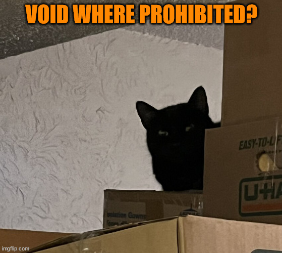 Void where prohibited? | VOID WHERE PROHIBITED? | image tagged in cat,funny cats,funny cat memes | made w/ Imgflip meme maker