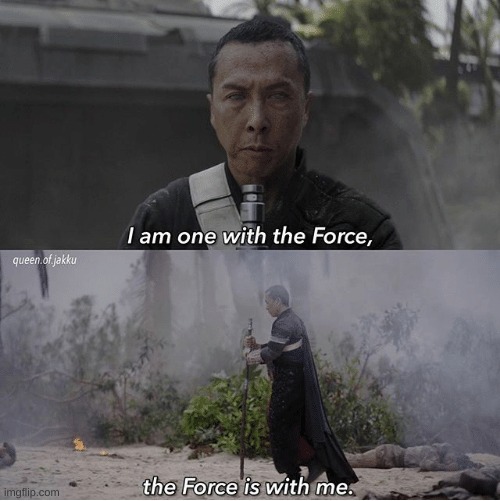 I am one with the Force the Force is with me | image tagged in i am one with the force the force is with me | made w/ Imgflip meme maker