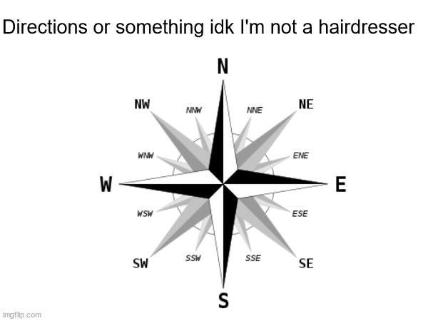 Directions or something idk I'm not a hairdresser | image tagged in idk | made w/ Imgflip meme maker