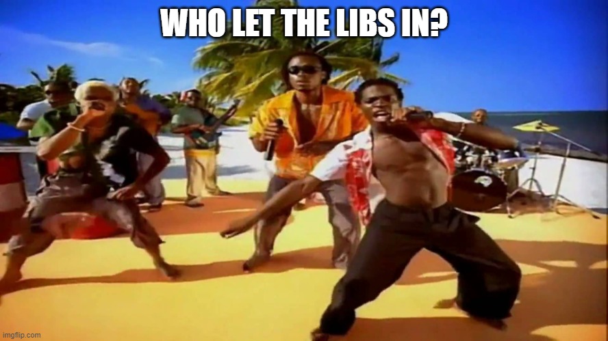 Who let the dogs out  | WHO LET THE LIBS IN? | image tagged in who let the dogs out | made w/ Imgflip meme maker